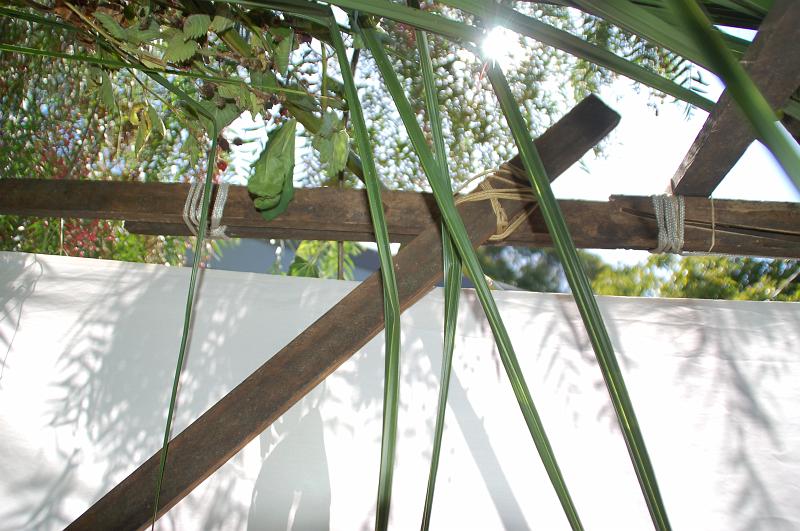 DSC_4229 - 2009-10-04 at 14-55-41.jpg - Close-up of the repair job. To the left, behind the white lashing, you can see the splint. It's placed so that the break (on the right side of the photo) is at about the middle of the splint, with three lashings holding the splint on (middle lashing right over the break).